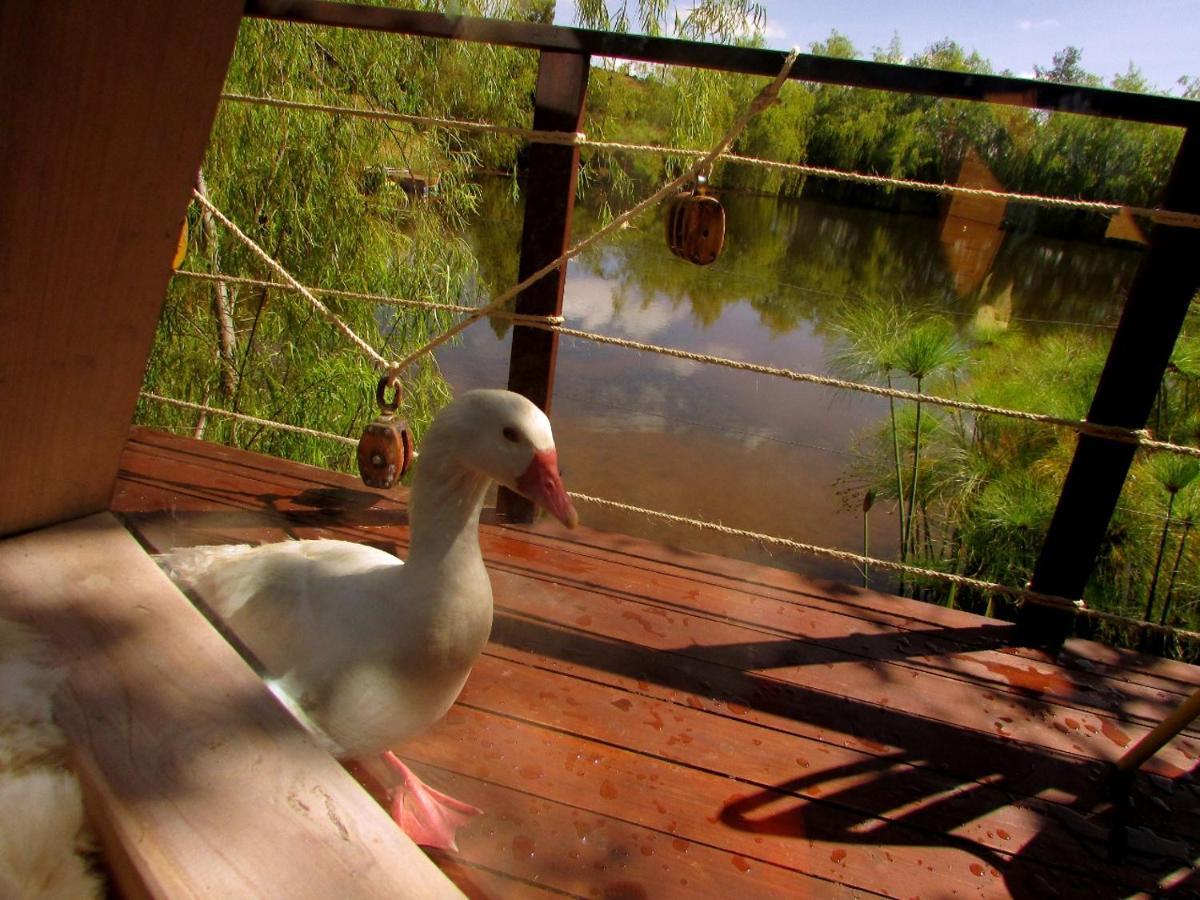 Glamping Cantabria Tunja Ngoại thất bức ảnh